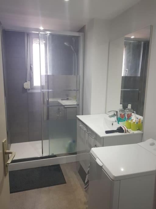 Appartement Calme 3 Chambres Avec Lit Double Wifi - Parking Facile Вандёвр-ле-Нанси Экстерьер фото